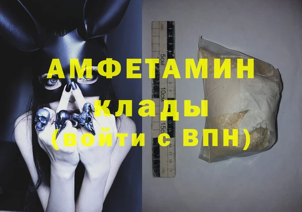 гидра Богданович