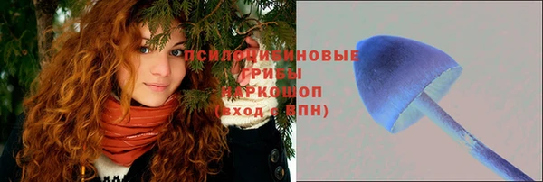 MDMA Premium VHQ Богородицк