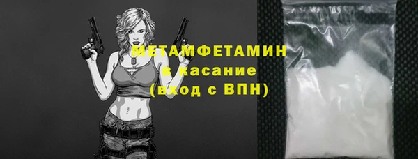 гидра Богданович