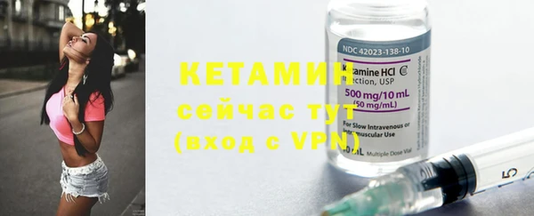 гидра Богданович