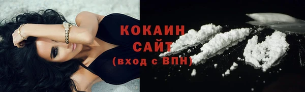 гидра Богданович