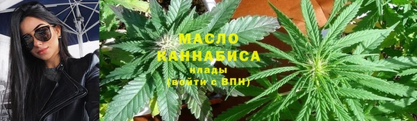 гидра Богданович