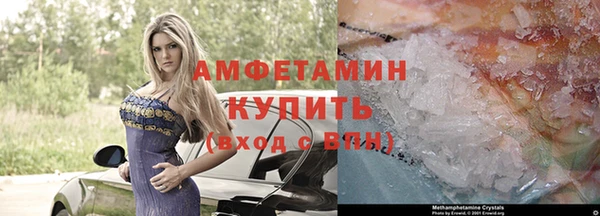 стаф Балахна