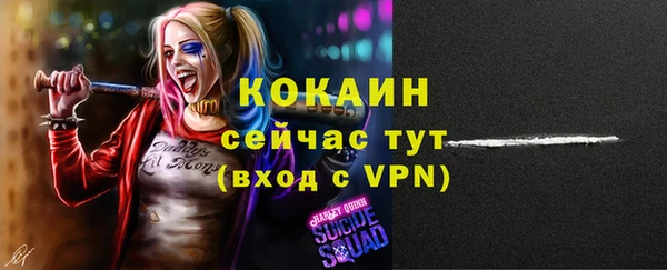 гидра Богданович