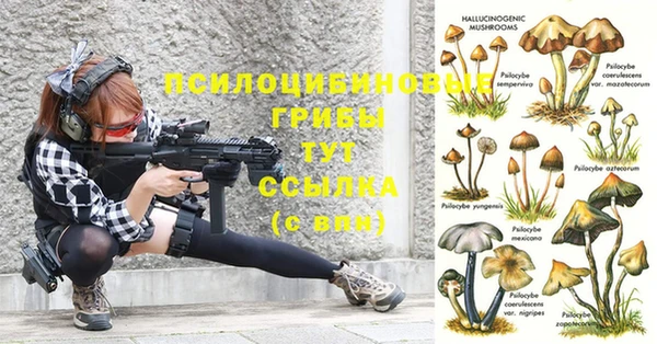 гидра Богданович