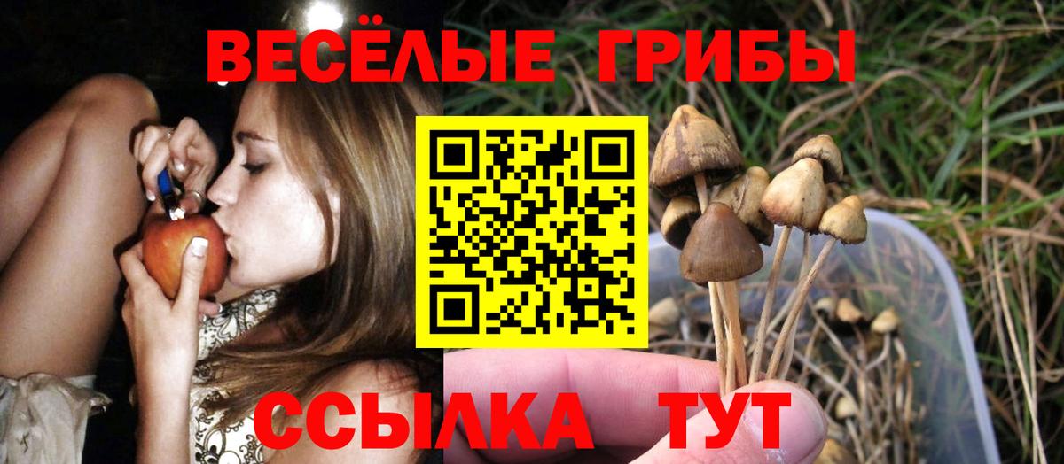 Псилоцибиновые грибы прущие грибы Горячий Ключ