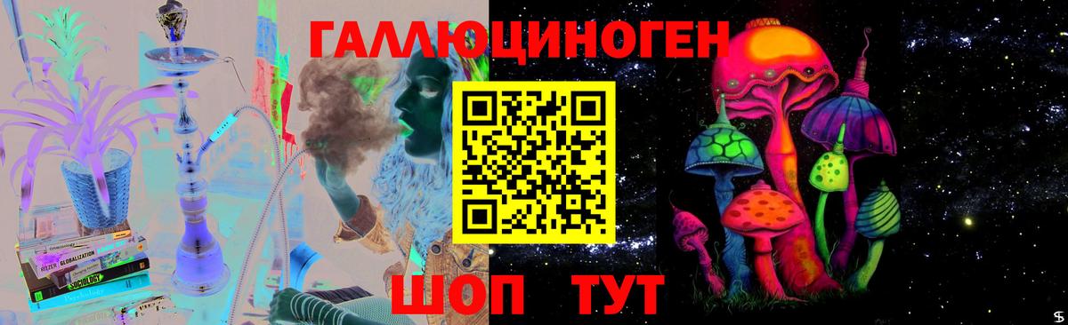 Псилоцибиновые грибы Cubensis  Псилоцибиновые грибы Psilocybe  Вход с VPN  Горячий Ключ 